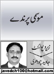 headers/0234.jpg