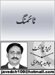 headers/0242.jpg